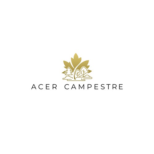 Summer camp logo with the title 'Acer Campestre logo design'