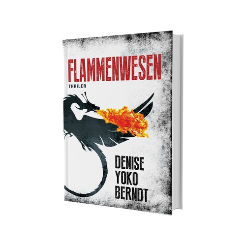 Black book cover with the title 'Fiction Book series cover'