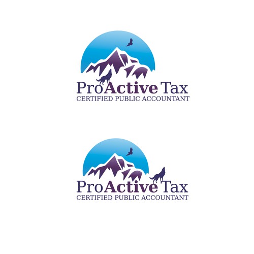 Attractive logo with the title 'Public accountatnt project'