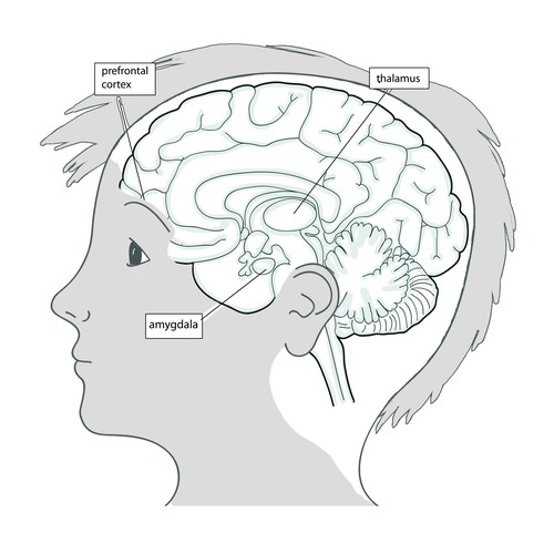 Communication artwork with the title 'Book illustration to kick off a small package of illustrations for a book'