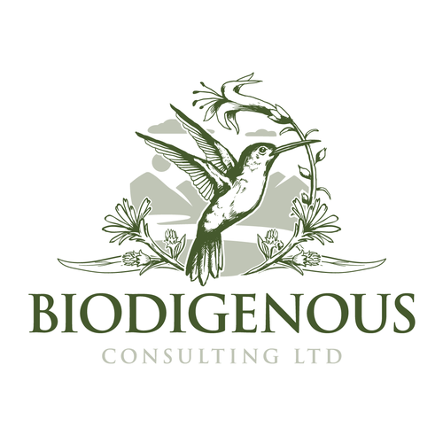 Hummingbird design with the title 'Biodiversity Consulting Company logo design'