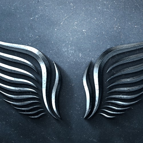 Health logo with the title 'CrossFit Health Angels - Logo design'