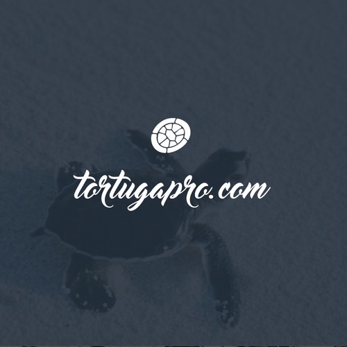 Nautical logo with the title 'Logo concept for TortugaPro.com'