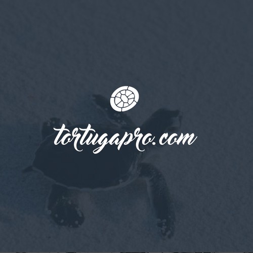 Turtle logo with the title 'Logo concept for TortugaPro.com'