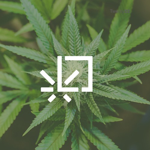 Iconic design with the title 'Simple cannabis logo for Corner'