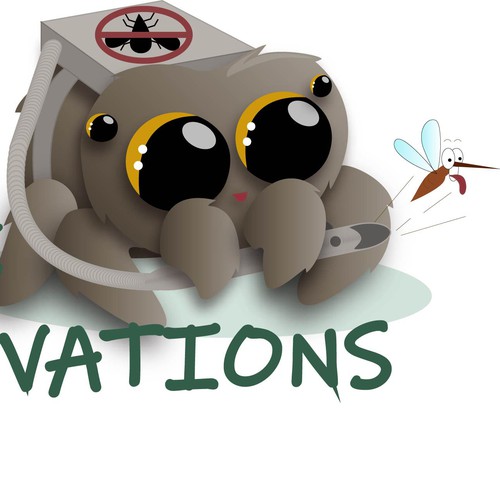 Spider design with the title 'Insect hunter spider'