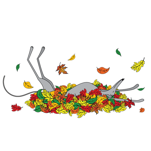 Dog t-shirt with the title 'Illustration with a dog for merchandise'