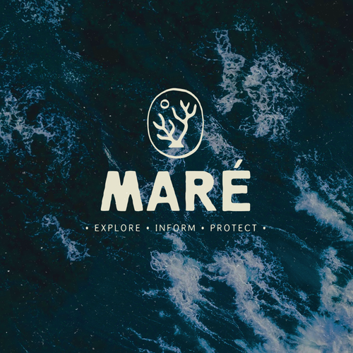 Marine logo with the title 'MARÉ'