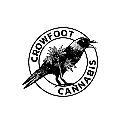 Crow logo with the title 'Crowfoot Cannabis'