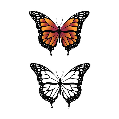 unique butterfly art