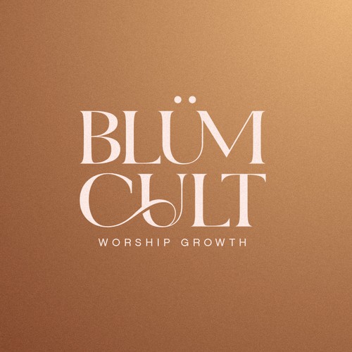 Aesthetic logo with the title 'Custom Wordmark Logo Design'