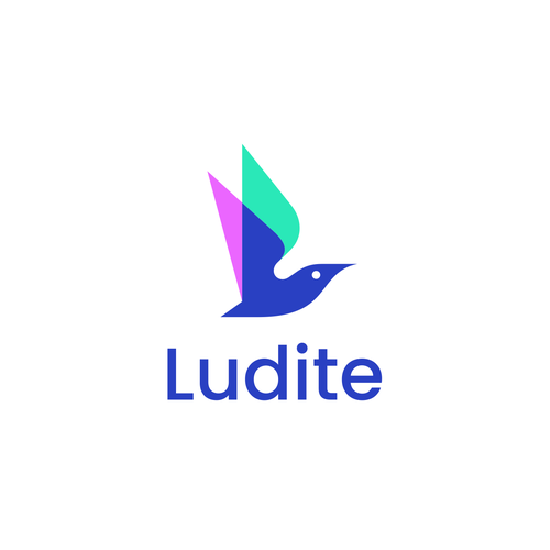 Fly logo with the title 'Ludite'