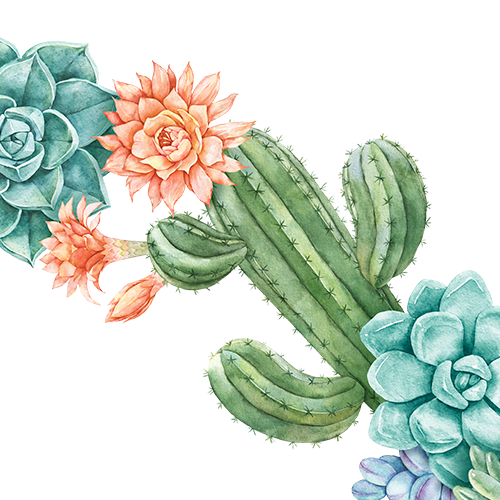 Hand-drawn artwork with the title 'Botanical hand drawn design. Hand-drawn floral cacti watercolor illustration for greeting card, invitation, thank you card.'