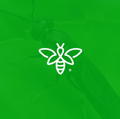 Bug logo with the title 'Line-art Design for Proteinfabriken, insect farming company'