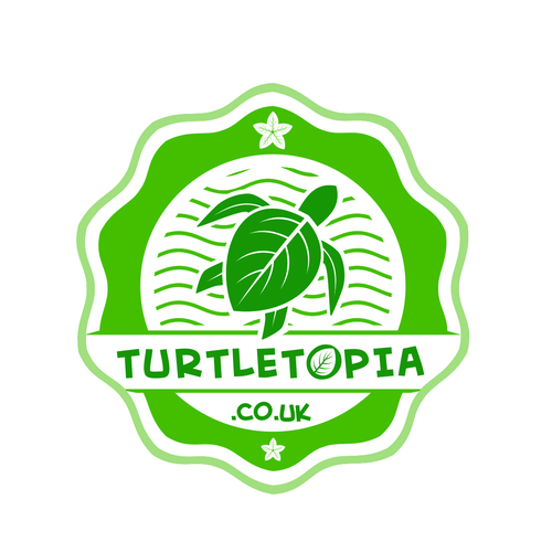Tortoise logo with the title 'Turtle shop logo'