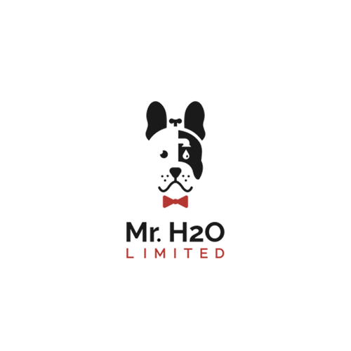 Mr. logo with the title 'MrH2O Limited'