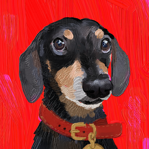 Pet illustration with the title 'Vibrant Pet Portrait'
