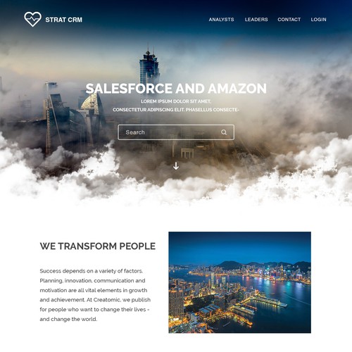 Company website with the title 'Analysts Website'