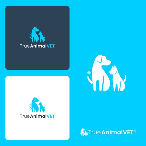 Hospital design with the title 'Veterinary Logo Design for a Small Animal Hospital'