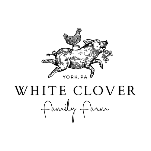 Best logo with the title 'Unique whimsical Farm Logo design'