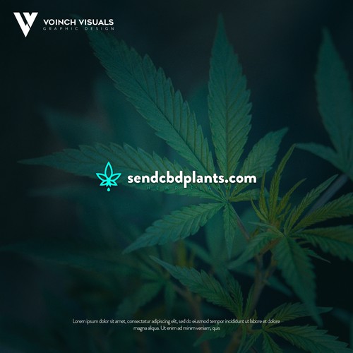 Hemp oil logo with the title 'Minimal logo concept for Sendcbdplants.com'