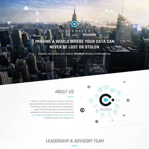 Security website with the title 'cyberhaven'
