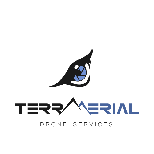 Aerial logo with the title 'Clean logo concept for drone services company'