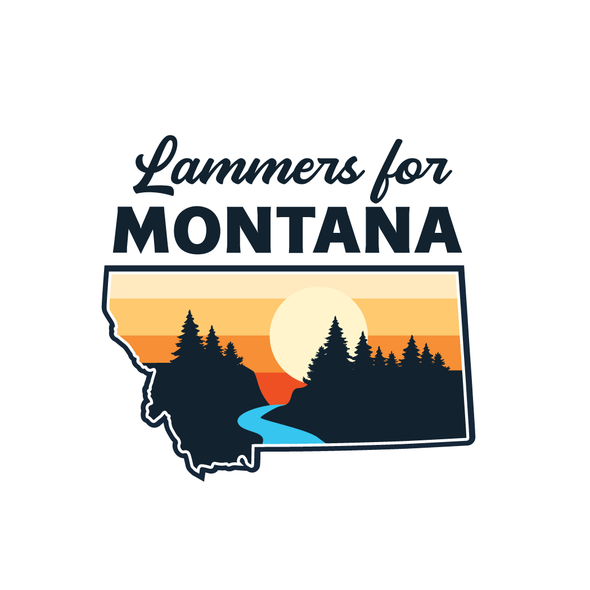 Montana logo with the title 'Personal logo for candidacy for state senate.'