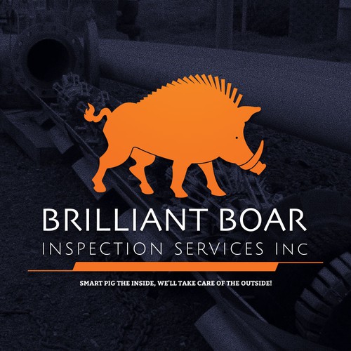Energy brand with the title 'Brillian Boar'