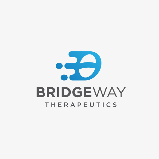 Bridge logo with the title ' Logo designs for New Medical Device Company.'