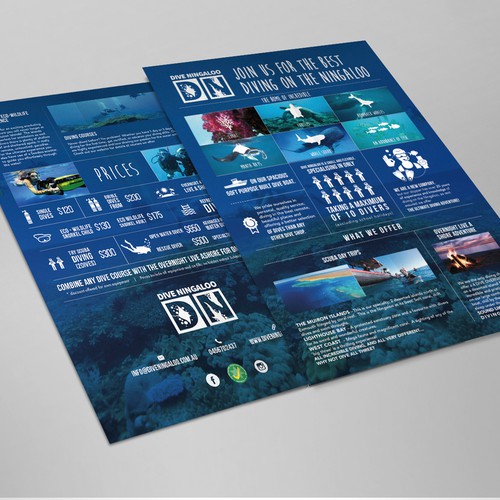 Scuba design with the title 'Create an advert for scuba diving on the Ningaloo reef!'