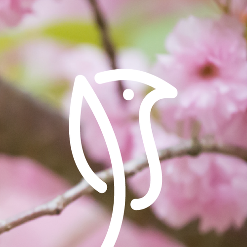 Pink logo with the title 'Evolve & Thrive'