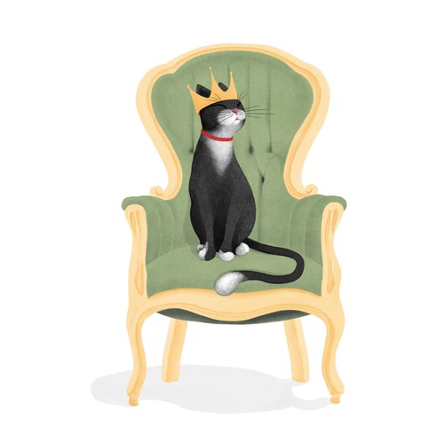 Book illustration artwork with the title 'The Adventures of MR BOO'