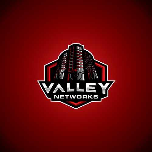 Computer brand with the title 'Valley Networks logo'