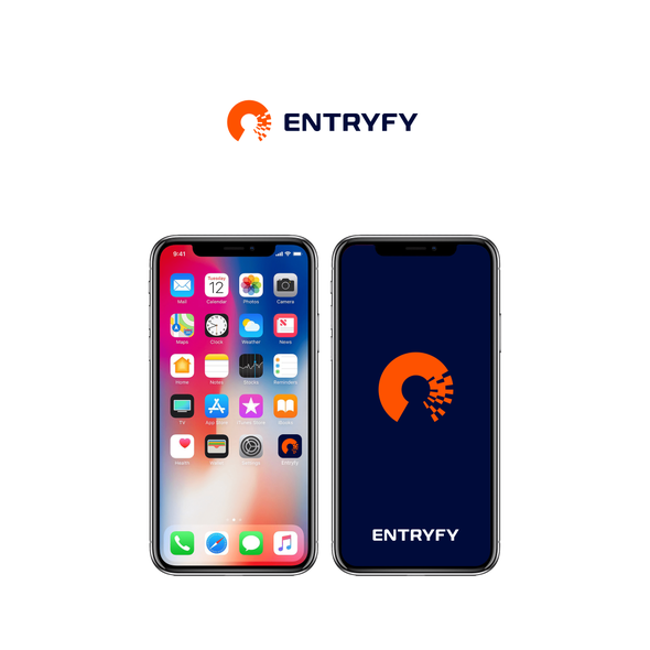 Access design with the title 'Logo for ENTRYFY'