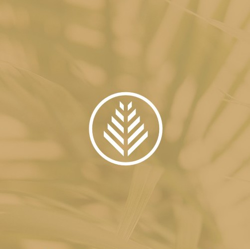 2D logo with the title 'Minimalist Design for Dorado Palms'