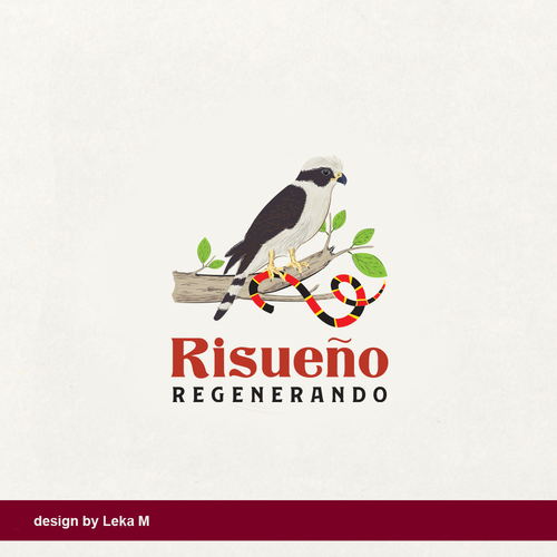 Falcon logo with the title 'Risueno Regenerado'