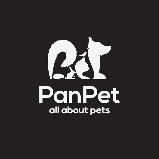 Cat logo with the title 'all about Pet'