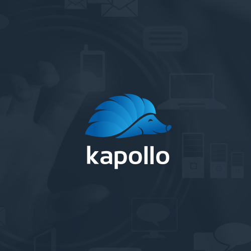 Hedgehog logo with the title 'kapollo'