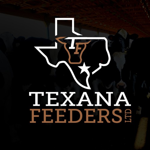 Texas logo with the title 'Classic Logo for a Texas based cattle operation'