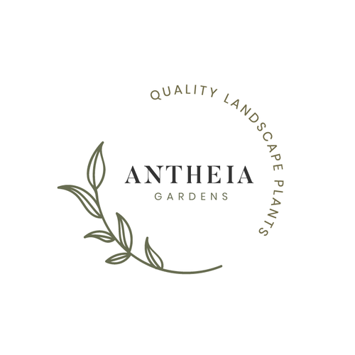 Wreath logo with the title 'Handrawn Emblem Style Design'