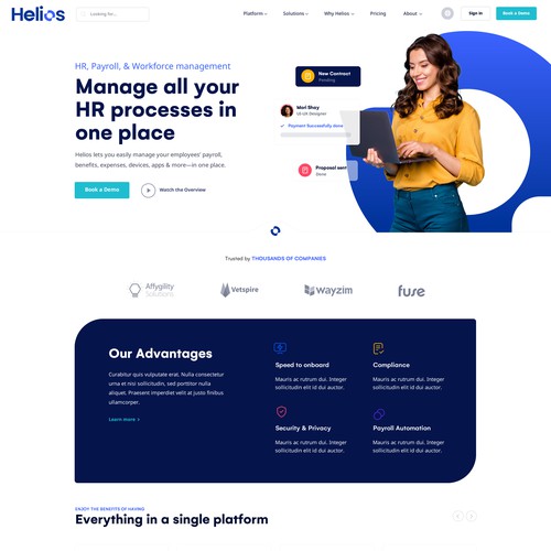 Professional website with the title 'Website Concept'