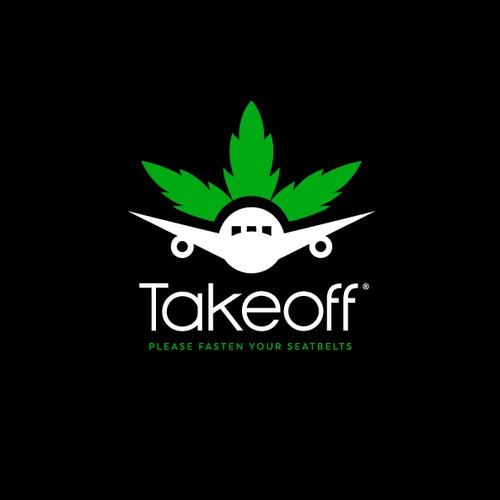 Airplane logo with the title 'Custom Logo for Takeoff'