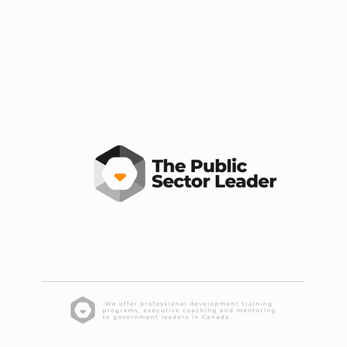 Minimalist logo with the title 'The Public Sector Leader'
