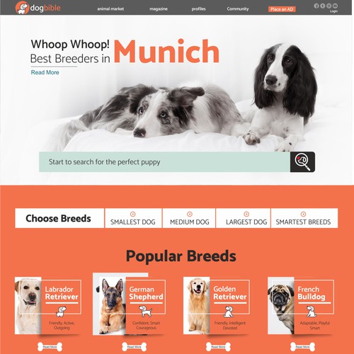 Dog website with the title 'Webdesign for online dog platform / marketplace / magazine'