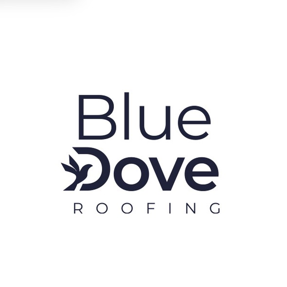 Neon blue safari logo with the title 'Dove Wordmark — Premium Corporate & Commercial Identity'