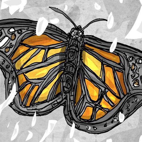 Butterfly book cover with the title 'Winter butterflies'