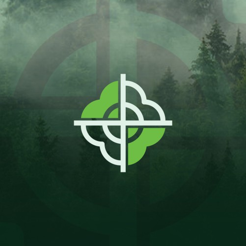 Industrial design with the title 'Bold Rifle Company Logo '