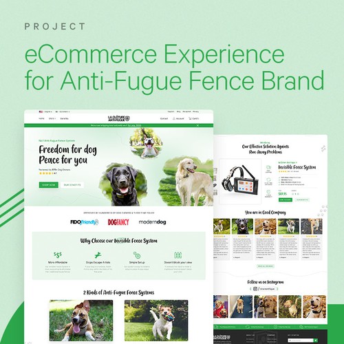 Pet shop design with the title 'eCommerce Experience for Pet Store'