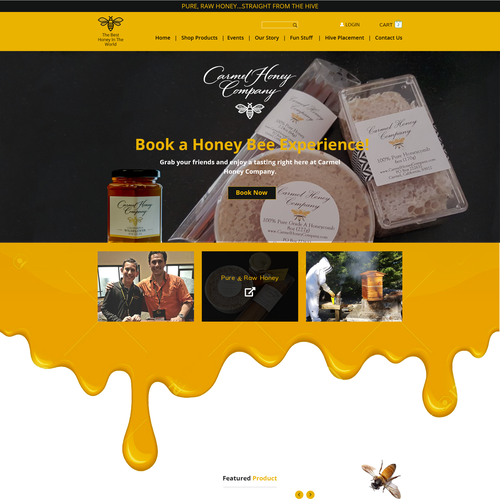 Honeycomb design with the title 'Homepage Concept of Honey Company'